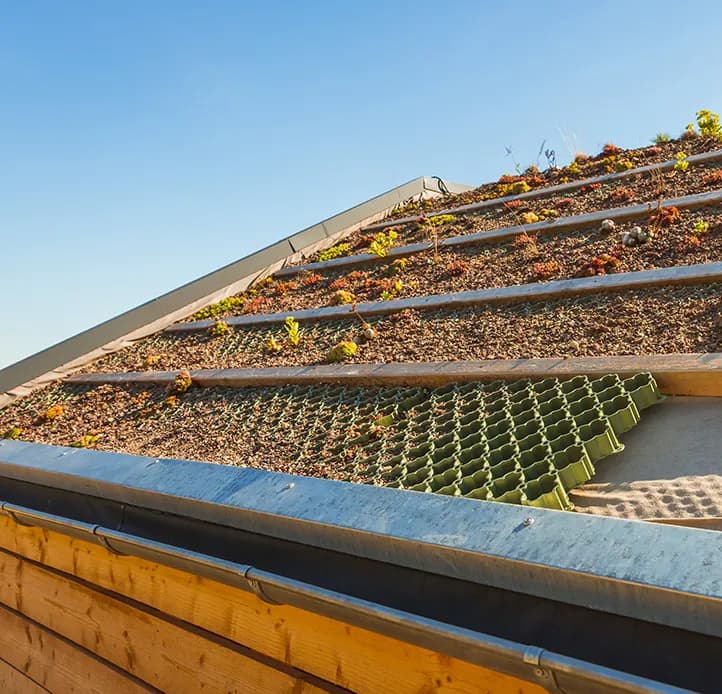 Green and bio-diverse roofing installed by JPS Roofing